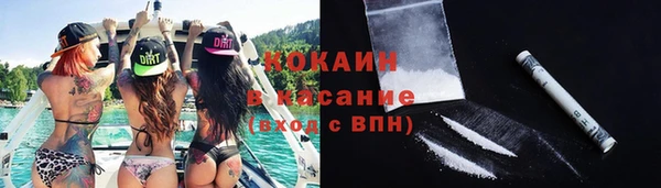 твердый Вяземский