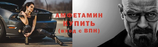 твердый Вяземский