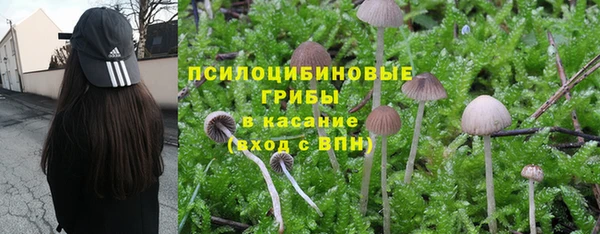 амф Вязьма