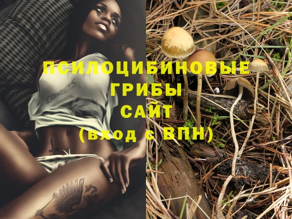 амф Вязьма