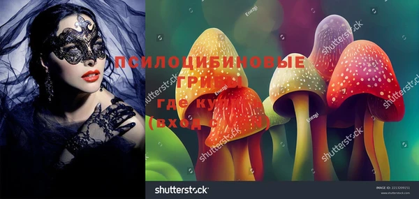 амф Вязьма