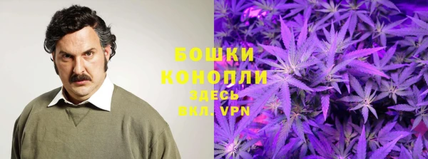 твердый Вяземский