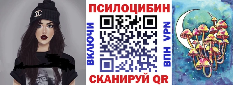 darknet Telegram  Бердск  Псилоцибиновые грибы GOLDEN TEACHER  mega зеркало 