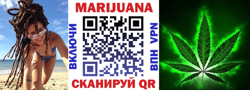 где продают   Бердск  Канабис конопля 